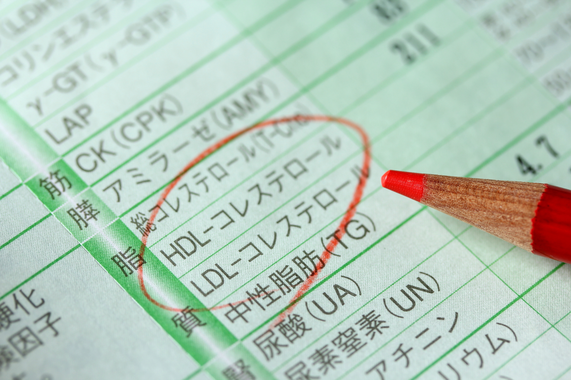 脂質異常症を指摘された場合の受診のタイミング